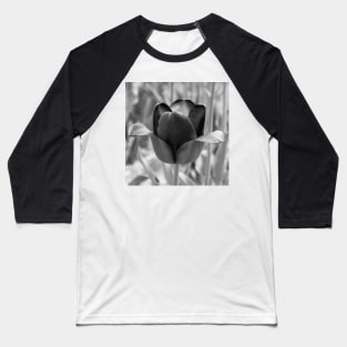 Black and White Continental Baseball T-Shirt